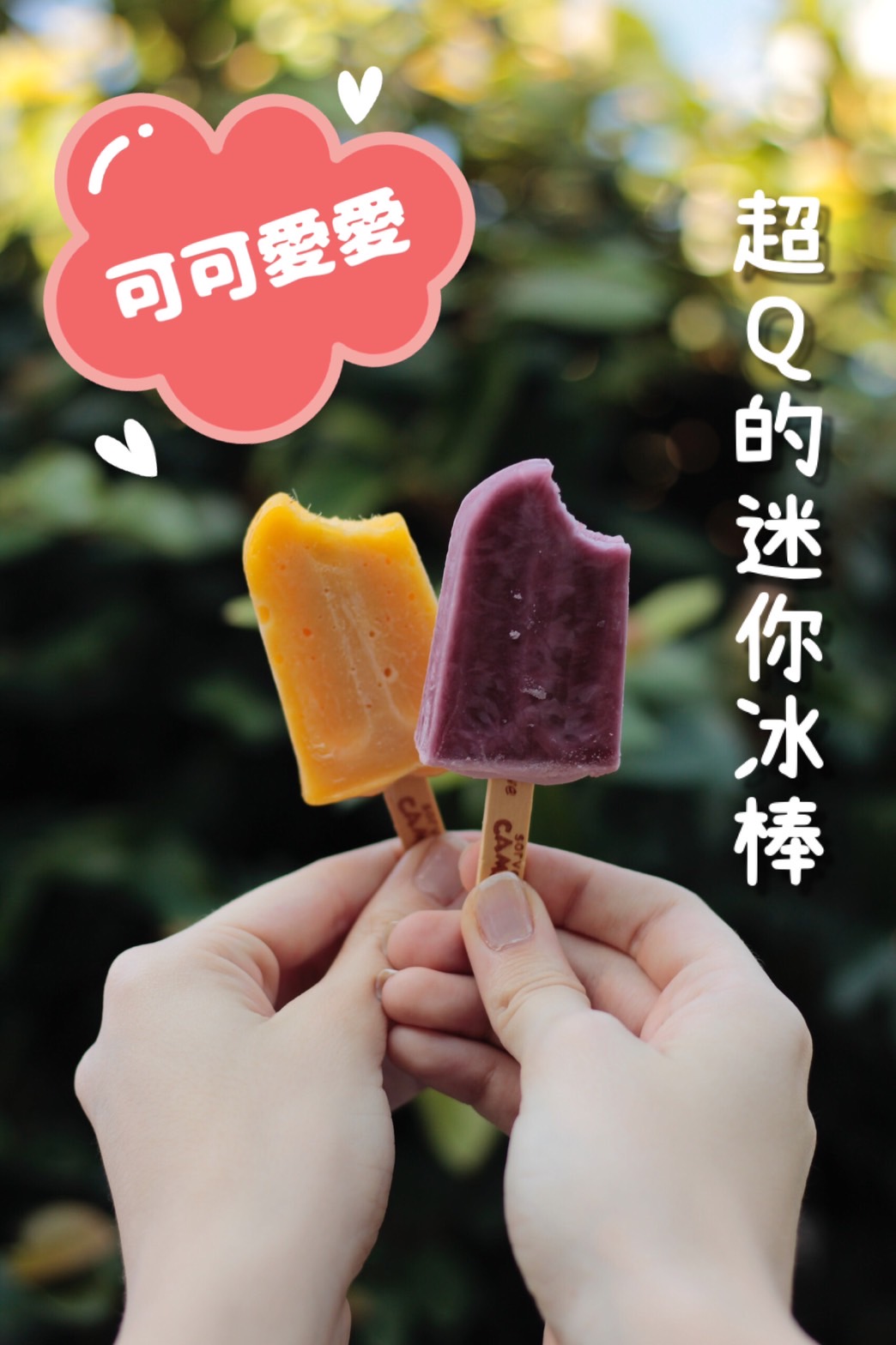 照片加文字範例